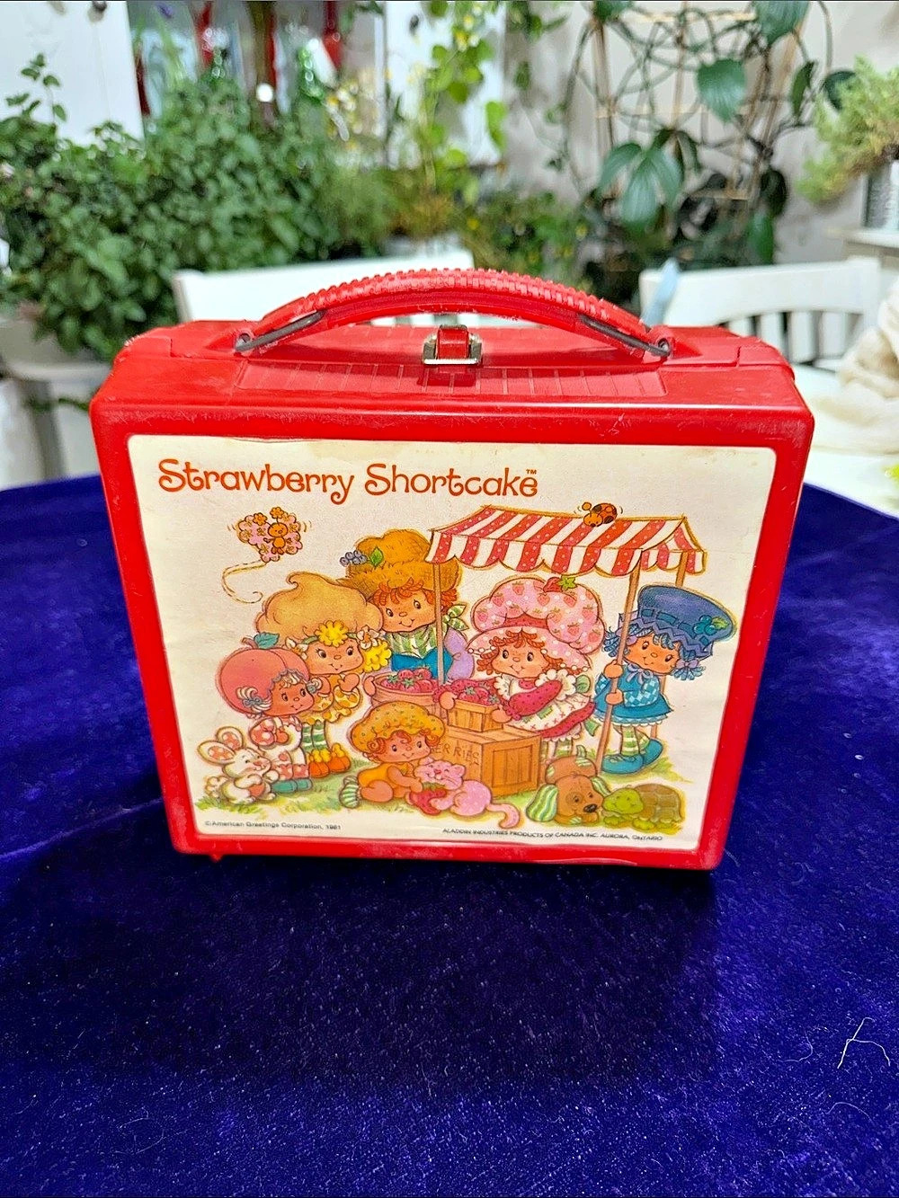 Aladdin Strawberry Shortcake Vintage Red lunch box Carrying Case